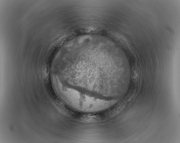 X0000114420607200911061624