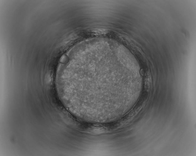 X0000114420608200911061624