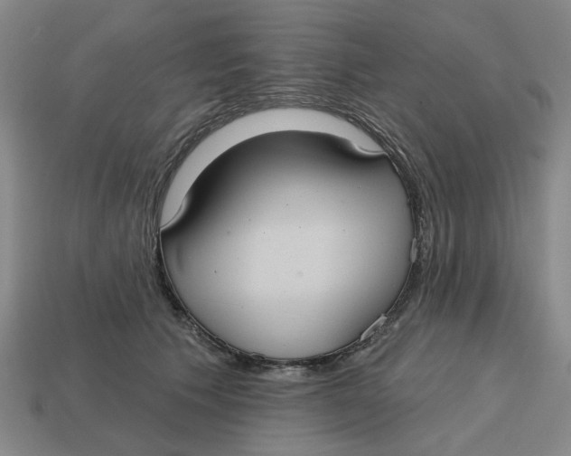 X0000114420609200911061624