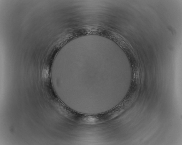 X0000114420610200911061624