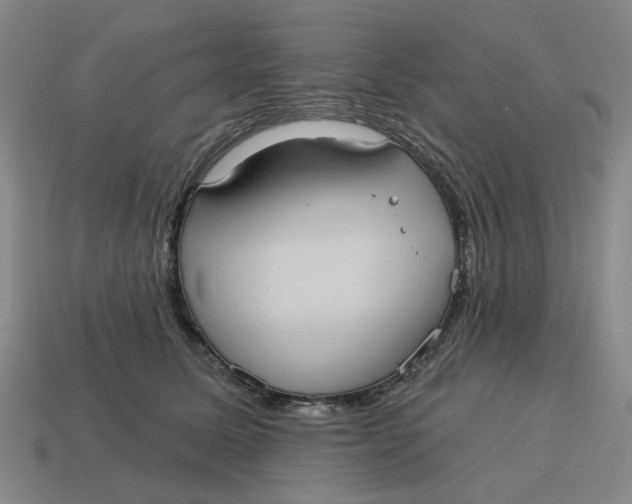 X0000114420611200911061624