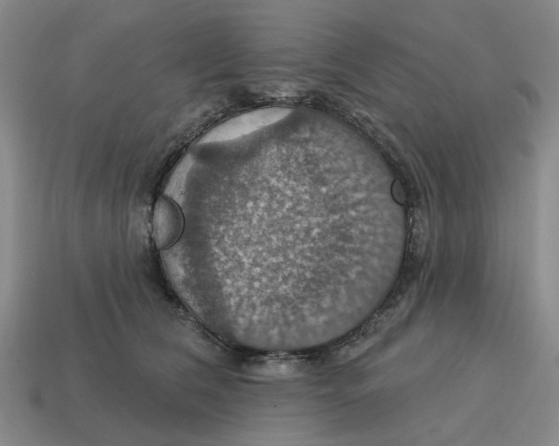 X0000114420612200911061624