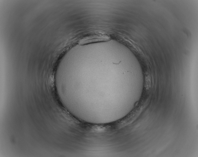 X0000114420613200911061624