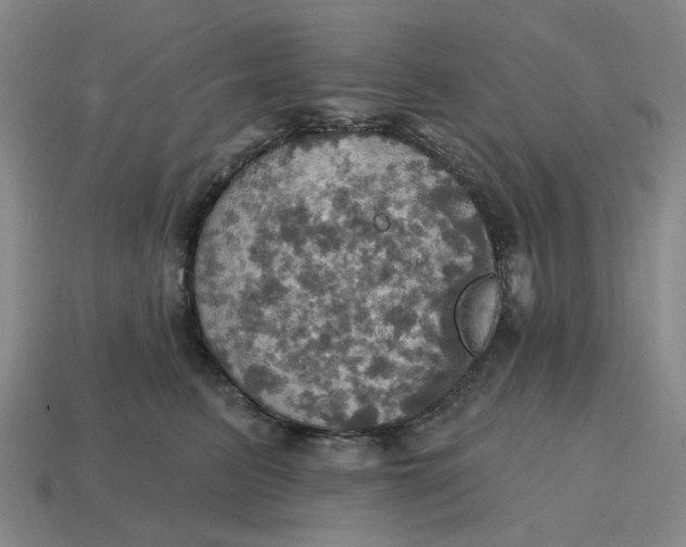 X0000114420615200911061624