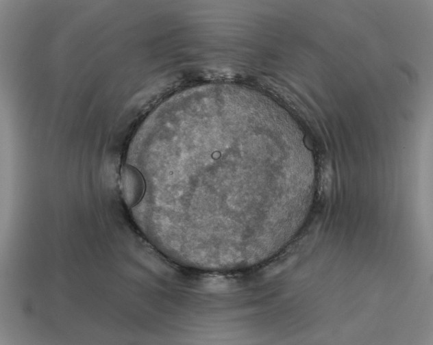 X0000114420616200911061624