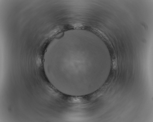 X0000114420618200911061624