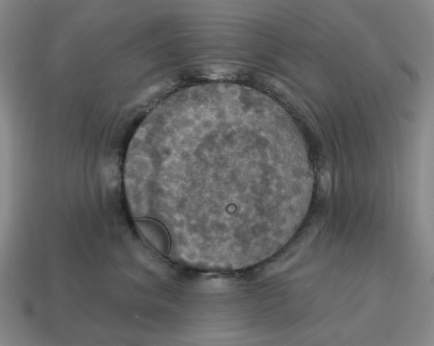 X0000114420620200911061624
