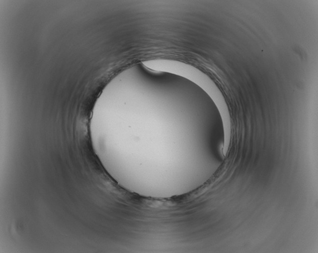 X0000114420621200911061624