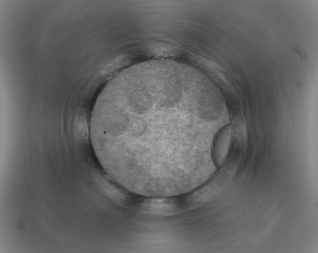 X0000114420622200911061624