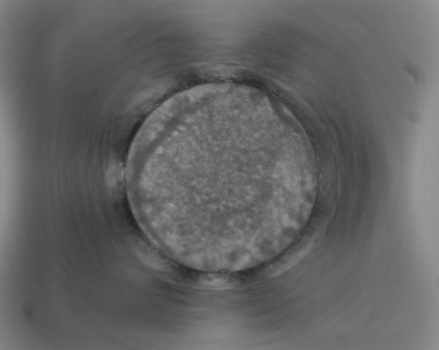 X0000114420624200911061624