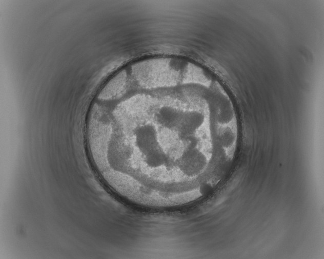 X0000114420625200911061623