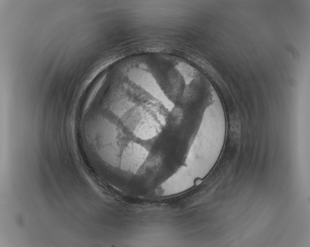 X0000114420626200911061623
