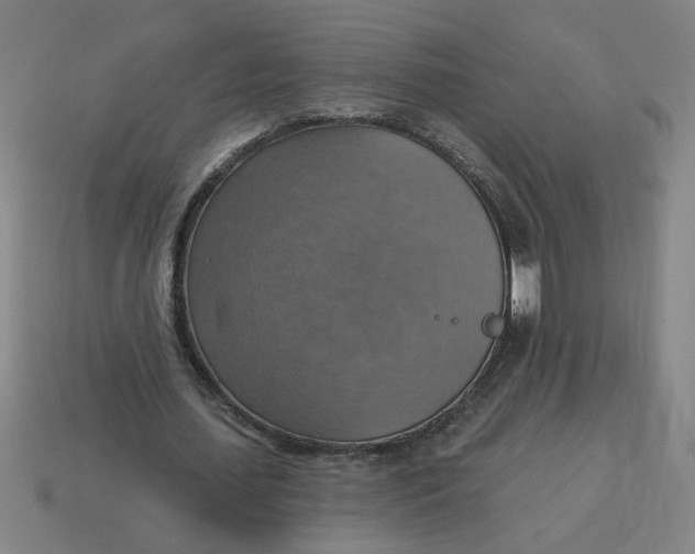 X0000114420627200911061623