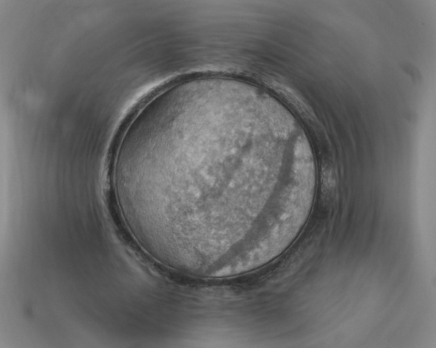 X0000114420628200911061623