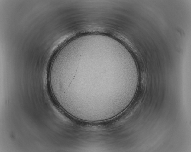 X0000114420629200911061623