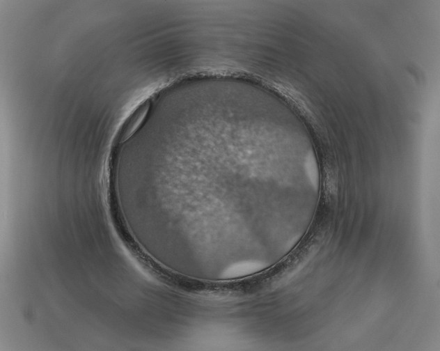 X0000114420630200911061623