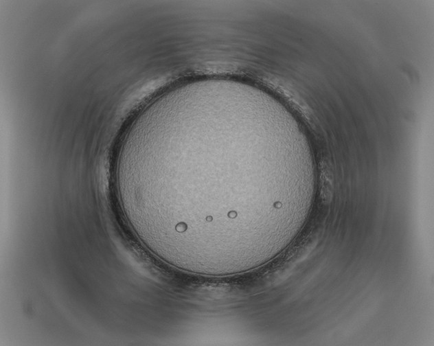 X0000114420631200911061623