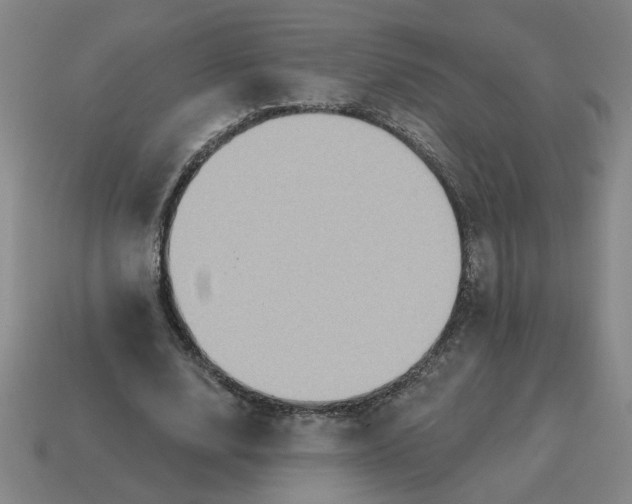 X0000114420632200911061623