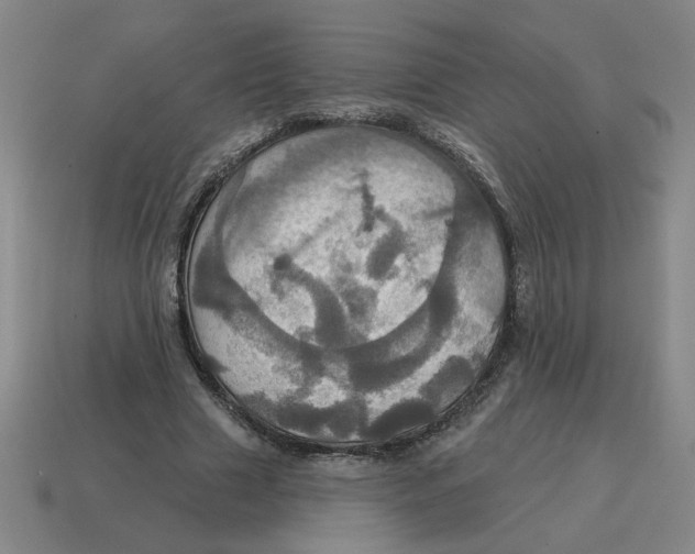 X0000114420633200911061623