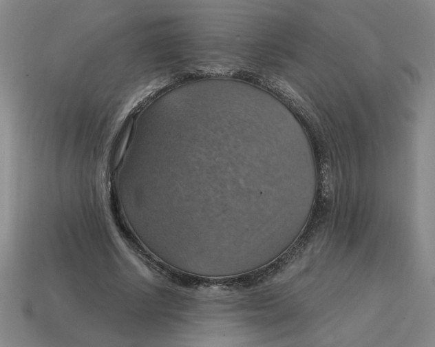 X0000114420634200911061623
