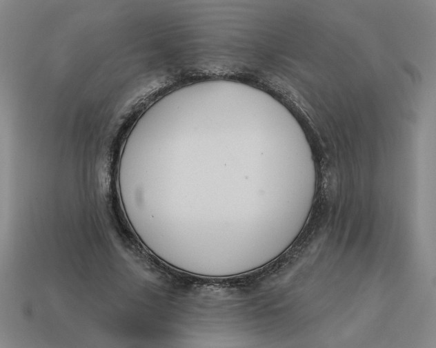 X0000114420635200911061623