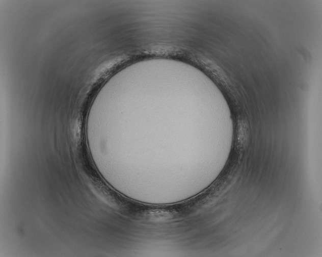 X0000114420636200911061623