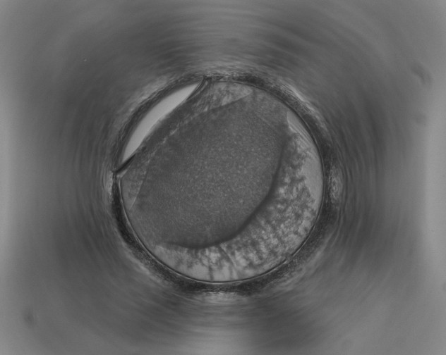 X0000114420637200911061623