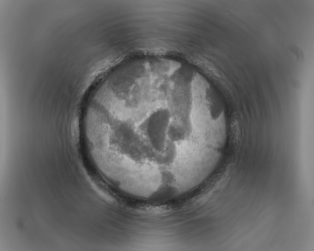 X0000114420638200911061623