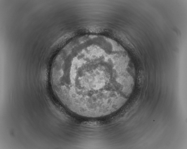 X0000114420639200911061623