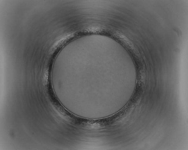 X0000114420640200911061623