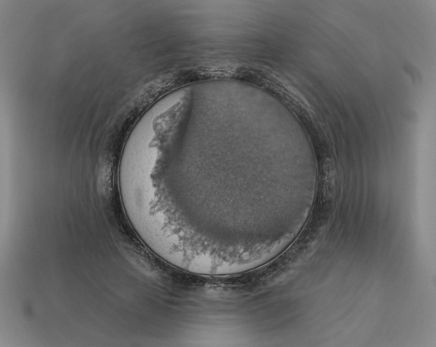 X0000114420641200911061623