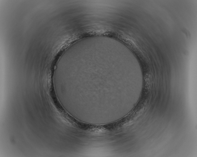 X0000114420642200911061623