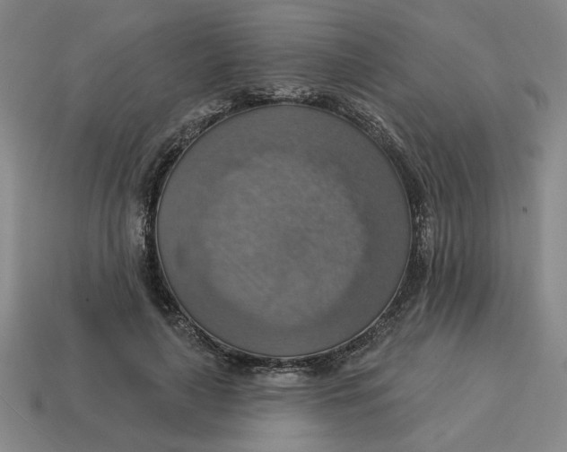 X0000114420643200911061623