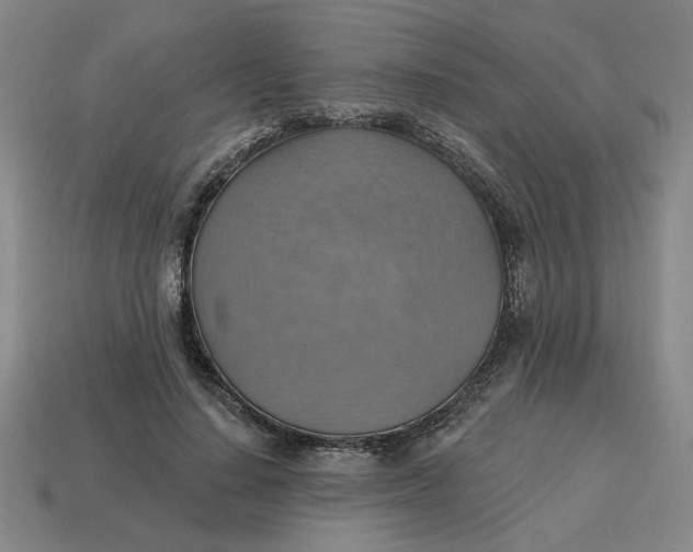X0000114420644200911061623