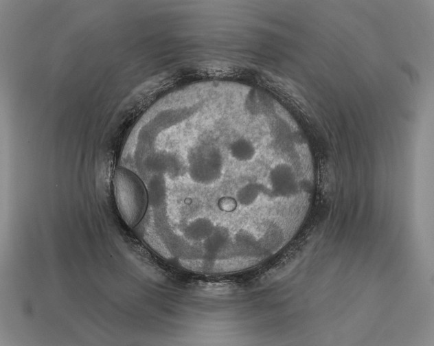 X0000114420645200911061623