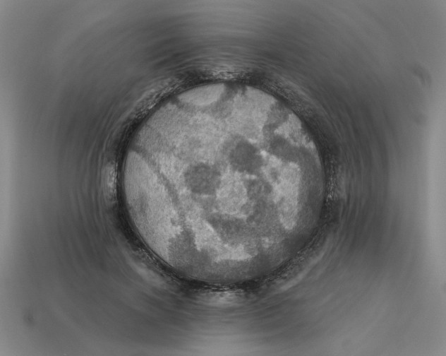 X0000114420646200911061623