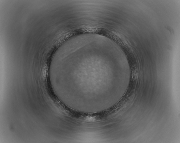 X0000114420647200911061623