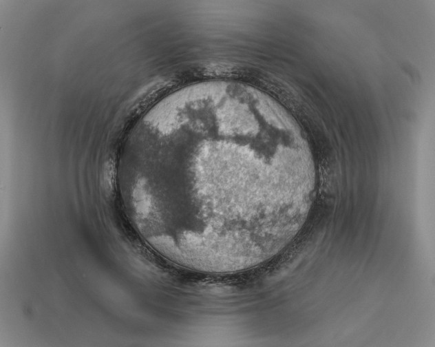 X0000114420648200911061623