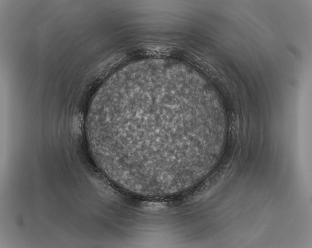 X0000114420649200911061623