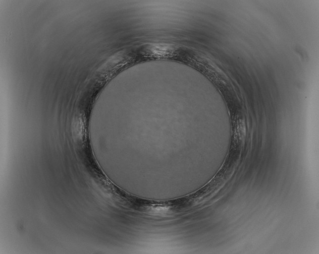 X0000114420651200911061623