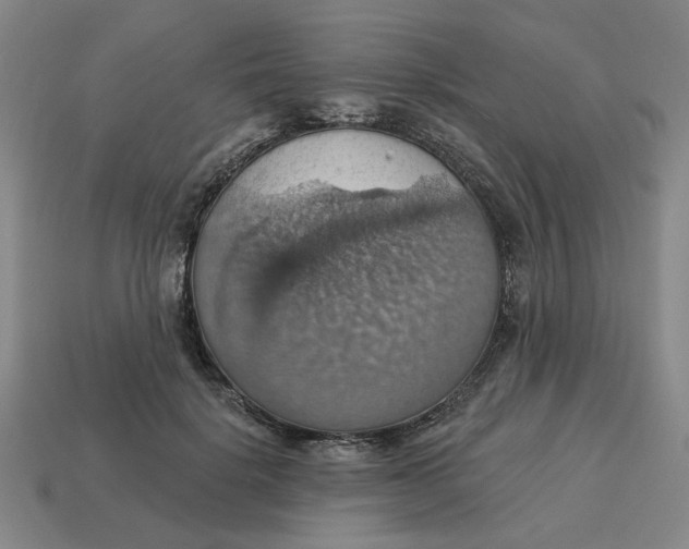 X0000114420652200911061623