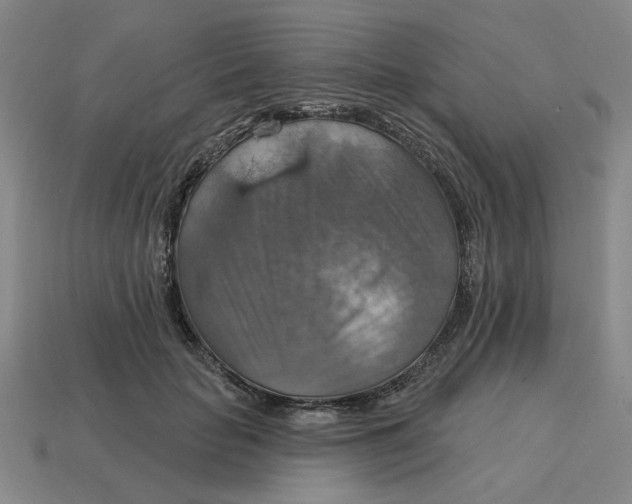 X0000114420653200911061623