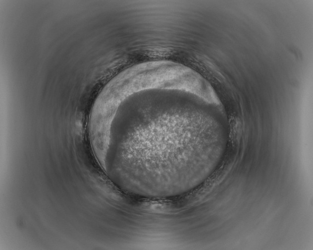 X0000114420655200911061623