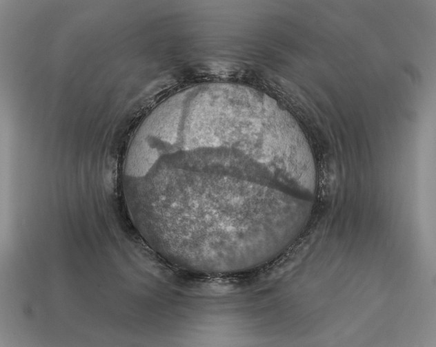 X0000114420656200911061623