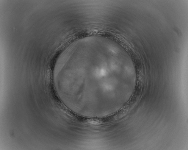 X0000114420659200911061623