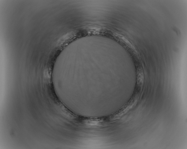 X0000114420661200911061623