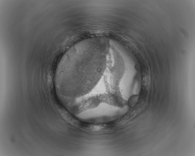 X0000114420662200911061623