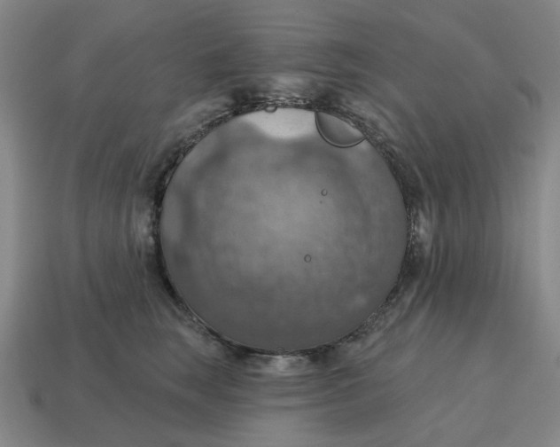 X0000114420663200911061623