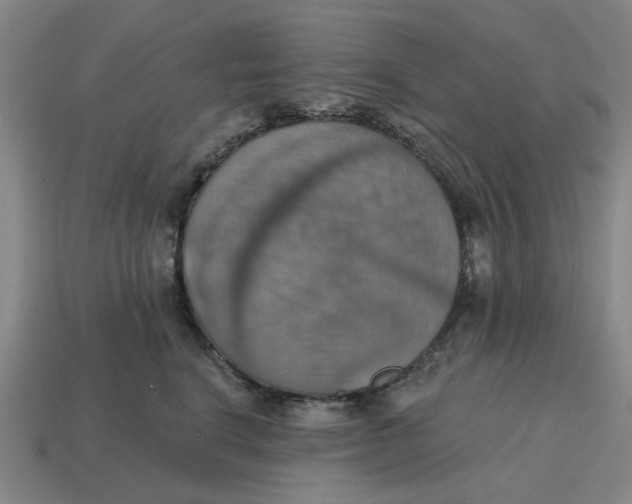 X0000114420664200911061623