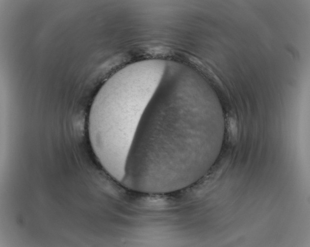 X0000114420668200911061623